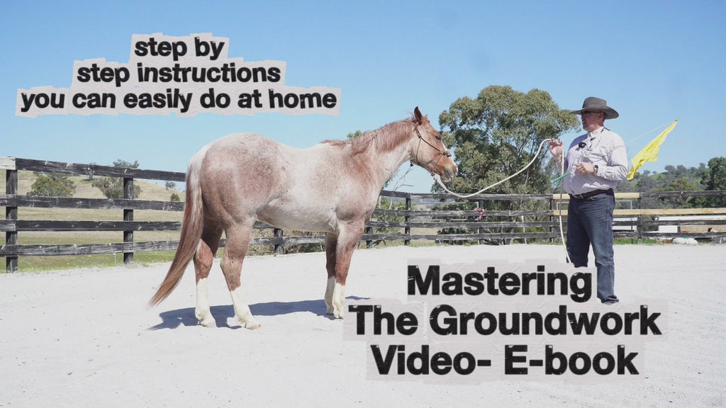 Bundle and Save-Essential Groundwork step by step video and horsemanship flag